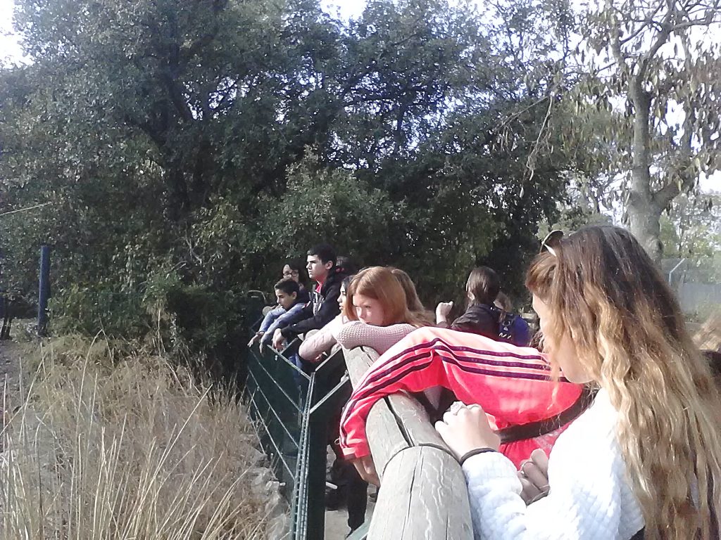 Lire la suite à propos de l’article Sortie à MONTPELLIER