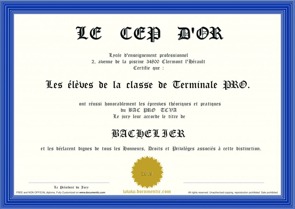 Lire la suite à propos de l’article 100% de réussite au BAC