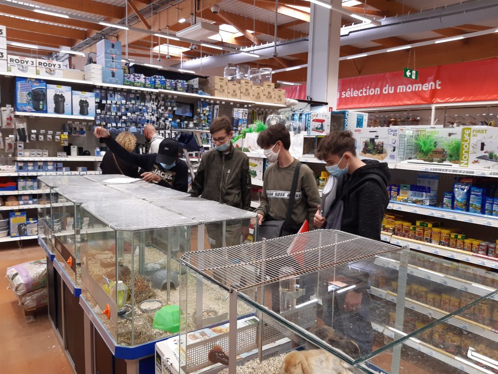 Lire la suite à propos de l’article Visite de l&rsquo;animalerie de M. Bricolage